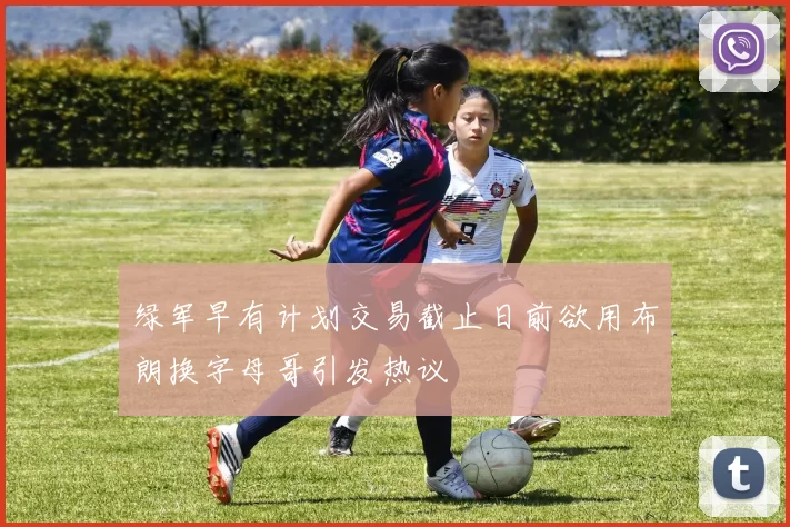 绿军早有计划交易截止日前欲用布朗换字母哥引发热议